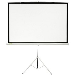 Экран Cactus Triscreen CS-PST-104x186 104.4 x 186см 1:1 напольный рулонный белый