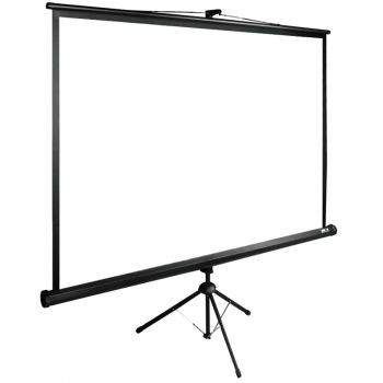 Экран Cactus TriExpert CS-PSTE-220x220-BK 220x220 см 1:1 напольный рулонный