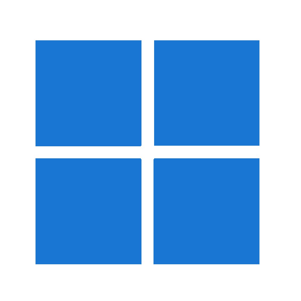 Windows 11 Pro Upgrade