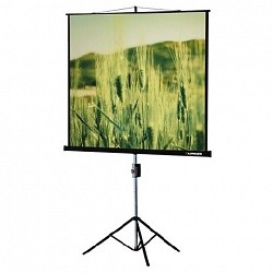 Lumien Master View LMV-100102 Экран на треноге 153x 153см настенно-потолочный рулонный черный 