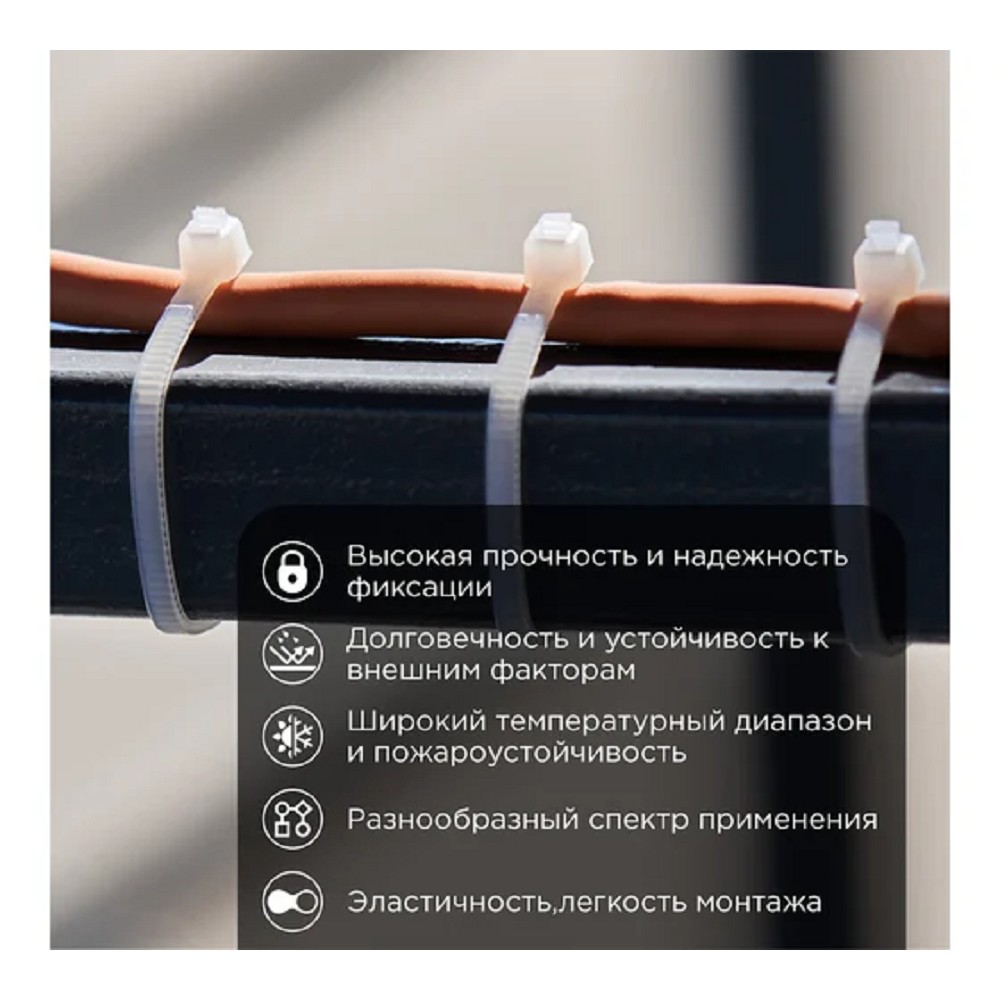 Rexant (07-0100) Стяжка кабельная нейлоновая 100x2,5мм, белая (100 шт/уп)