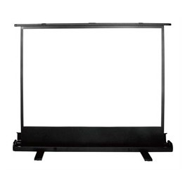 Экран Cactus 120x160  FloorExpert CS-PSFLE-160X120 4:3 напольный рулонный