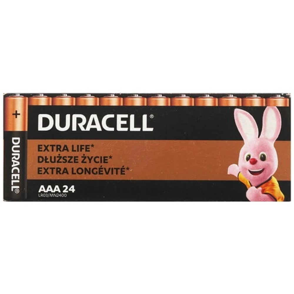 DURACELL LR03-24BL BASIC AAA (MN2400) (24 шт. в уп-ке)