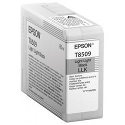 EPSON C13T850900 Картридж Epson T8509 для SC-P800 Light Light Black, 80 мл. (cons ink)
