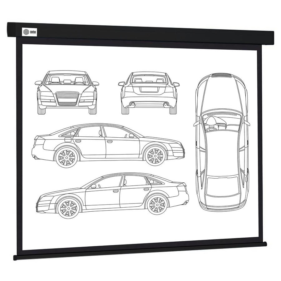Экран Cactus Wallscreen CS-PSW-213X213-BK,  213х213 см, 1:1,  настенно-потолочный черный