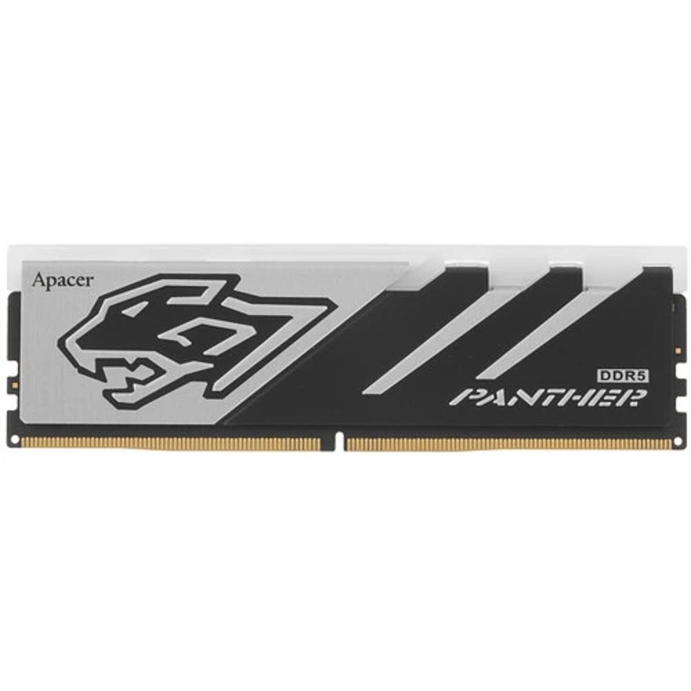 Apacer DDR5 DIMM 16GB PC5-48000 (AH5U16G60C6229BAA-1)  RGB 