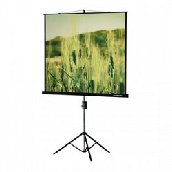 Lumien Master View LMV-100108 Экран на треноге (183х244), рабочая область (175х236) 4:3 напольный рулонный
