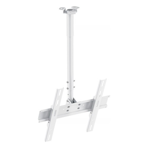 Holder PR-101-W белый 32"-65" макс.60кг потолочный фиксированный