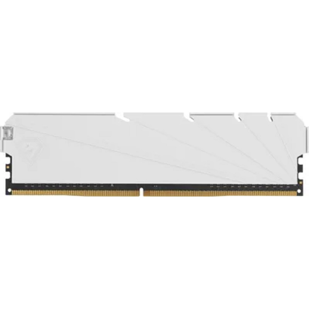 Netac DDR4 DIMM 8GB NTSSD4P32SP-08W PC4-25600, 3200MHz