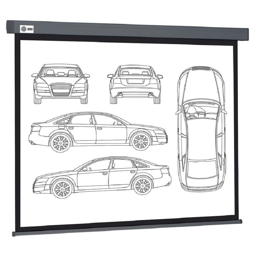 Экран Cactus Wallscreen CS-PSW-168X299-SG,  299х168 см, 16:9,  настенно-потолочный серый