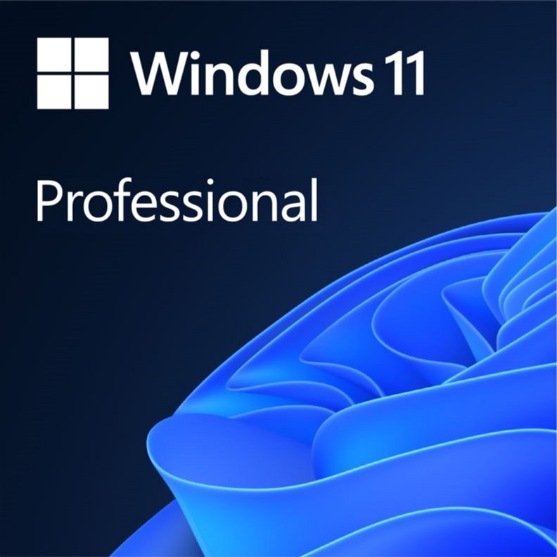 FQC-10572 Win Pro 11 64-bit All Lng PK Lic Online DwnLd NR