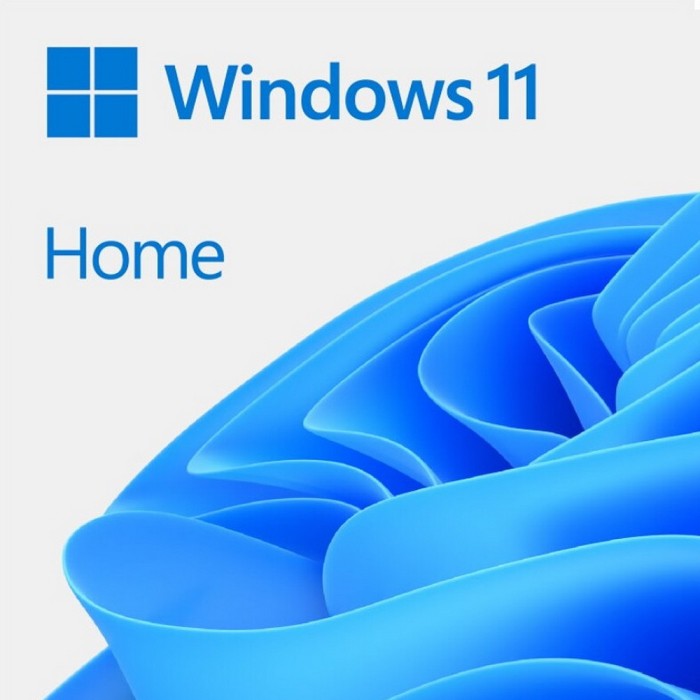 HAJ-00089 Windows 11 Home FPP P2 32-bit/64-bit RUS/EFTA English international USB (HAJ-00089)