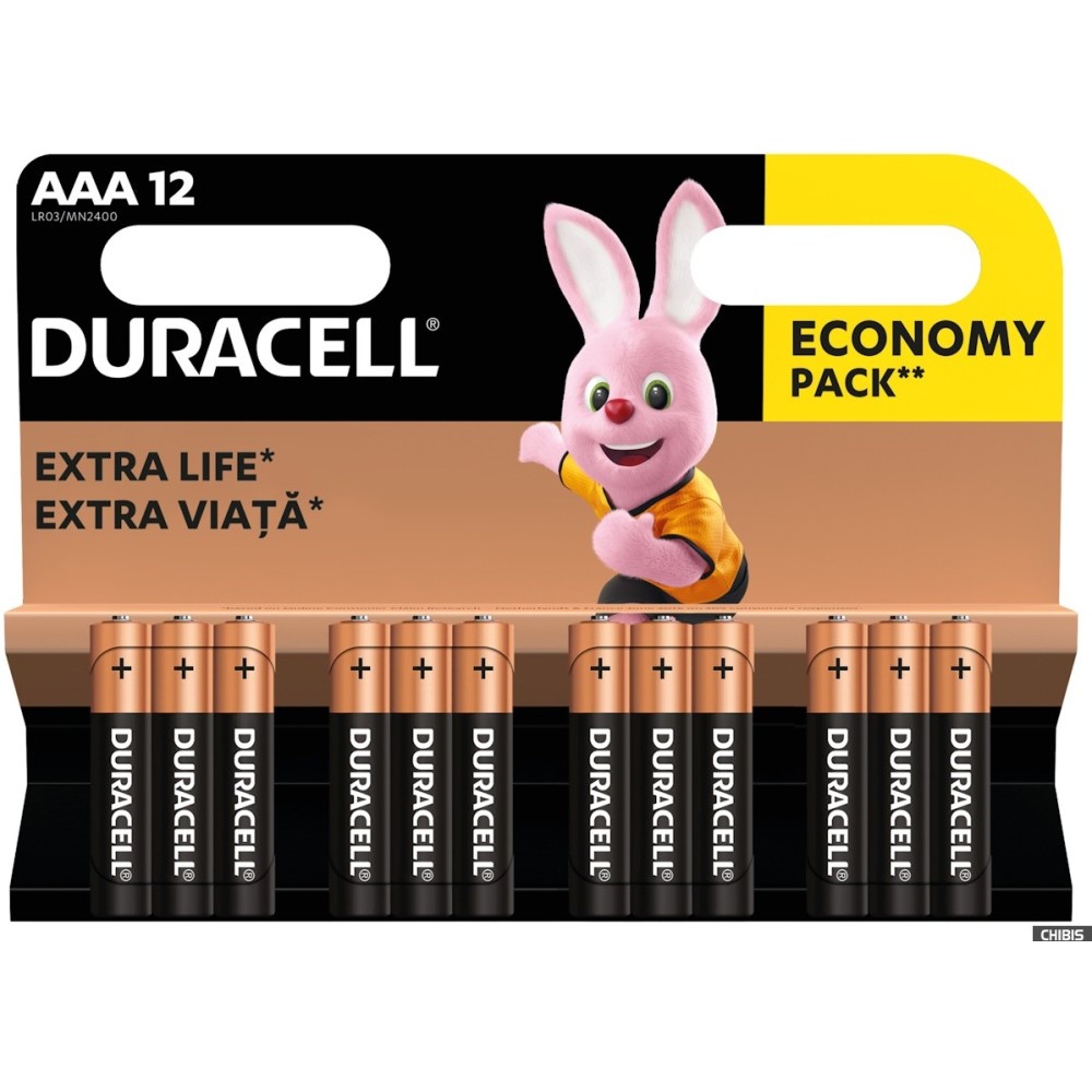 DURACELL LR03-12BL BASIC AAA (12 шт. в уп-ке)