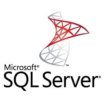 ПО Microsoft SQL Svr Standard Edtn 2019 English DVD 10 Clt (228-11548)