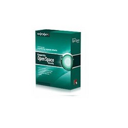 KL4413RAPFS Kaspersky Security для интернет-шлюзов Russian Edition. 25-49 User 1 year Base License
