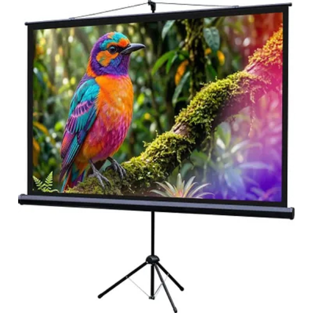 Lumien Eco View LEV-100115 Экран на штативе 130x227 см (раб.область 124х221 см) (100") Matte White 16:9